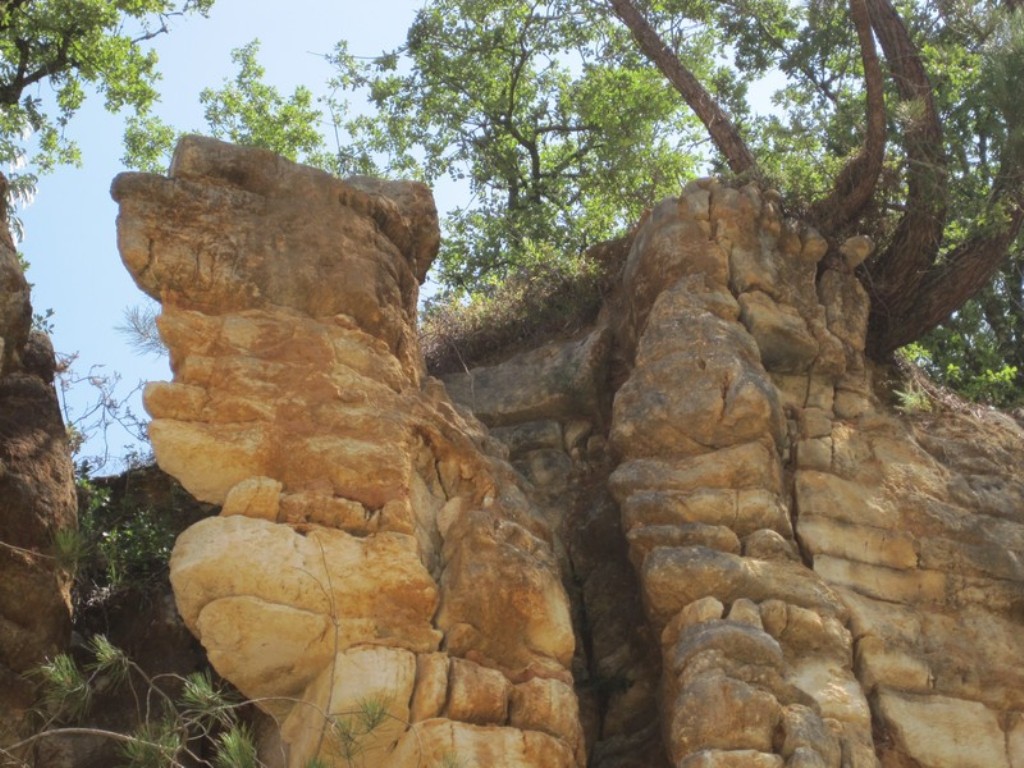 Cantera de Piedra Caliza